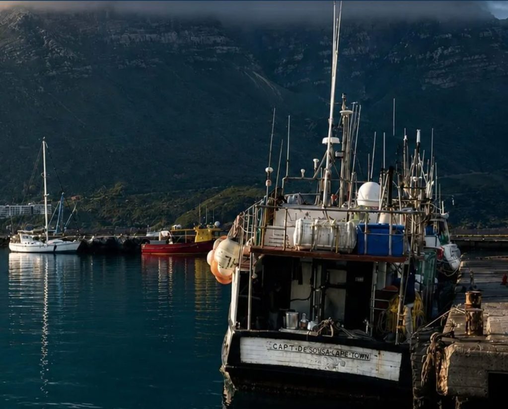 Fishing vessel moored in Cape Town harbour beneath Table Mountain during calm morning conditions.